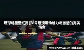 解析纽约大都会的财务投入产出